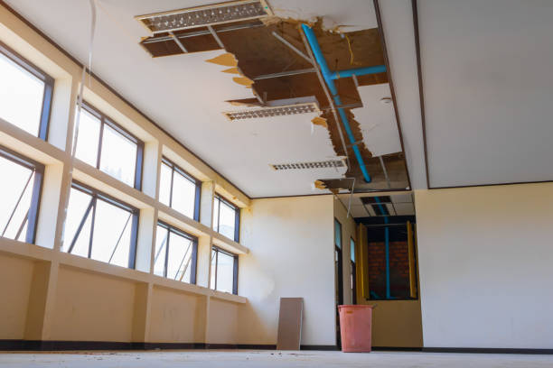 Best Water damage contractors near me  in Wayne, WV