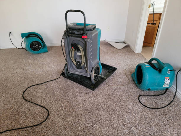 Best Emergency water damage restoration  in Wayne, WV