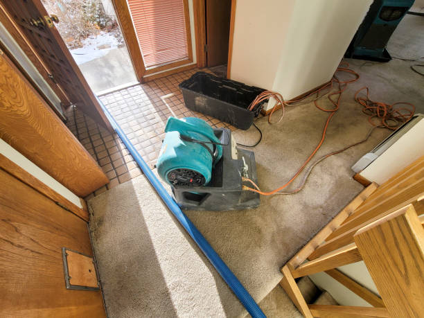 Best Flood damage cleanup  in Wayne, WV