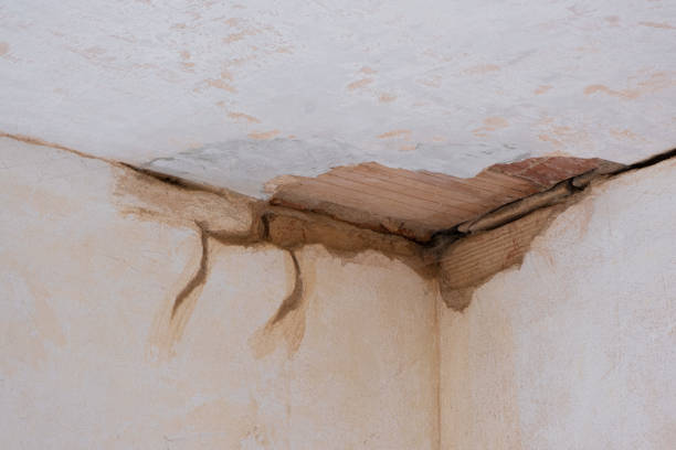 Best Local water damage restoration  in Wayne, WV