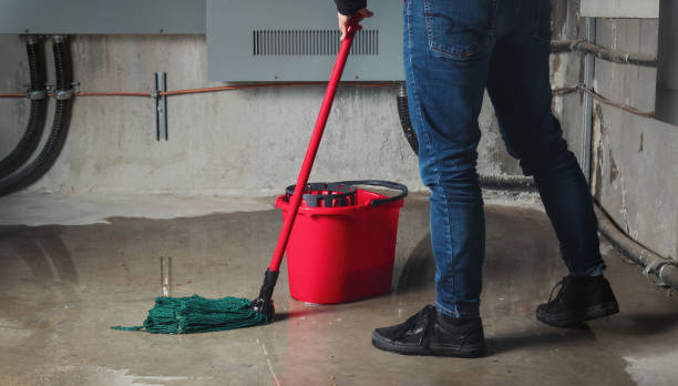  Wayne, WV Water damage restoration Pros