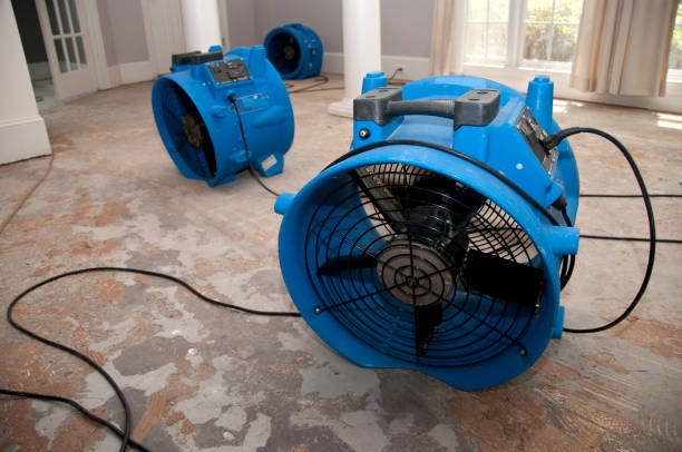 Local water damage restoration in Wayne, WV