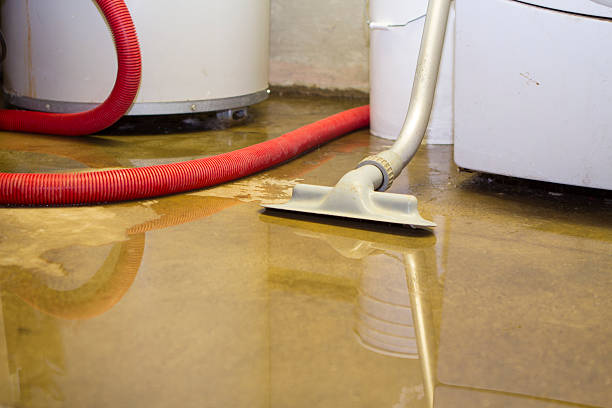 Best 24/7 water damage repair  in Wayne, WV