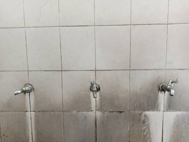 Best 24-hour water damage restoration  in Wayne, WV