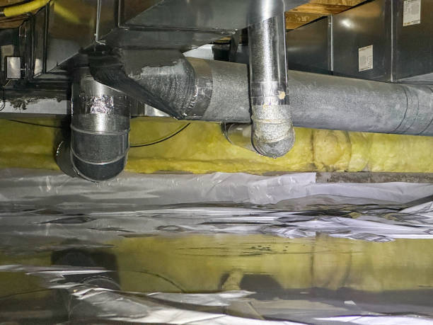Best Flooded house restoration  in Wayne, WV