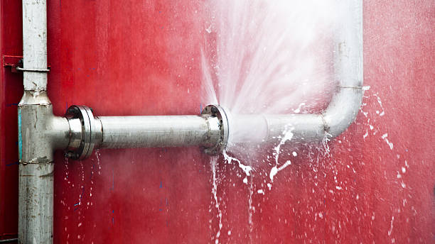 Best Residential water damage restoration  in Wayne, WV
