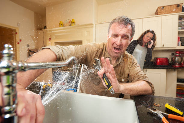 Best Ceiling water damage repair  in Wayne, WV